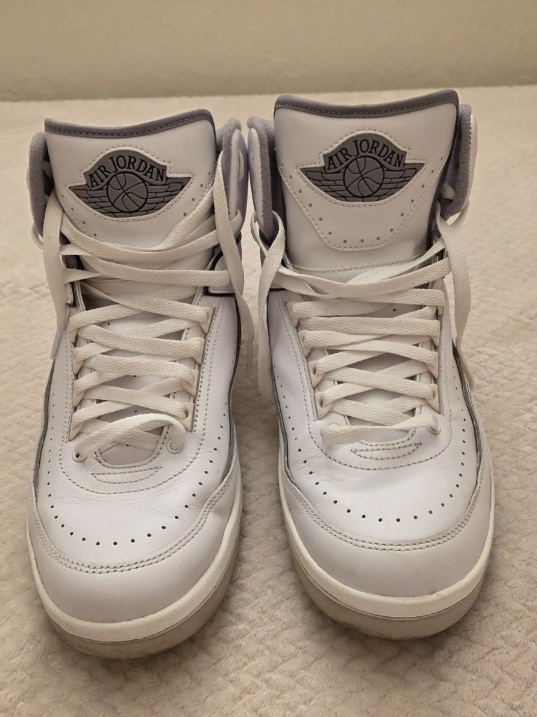 Mens Nike Air Jordan Retro 2 White/Cement Size 11 High Top Sneakers Dr8884-100